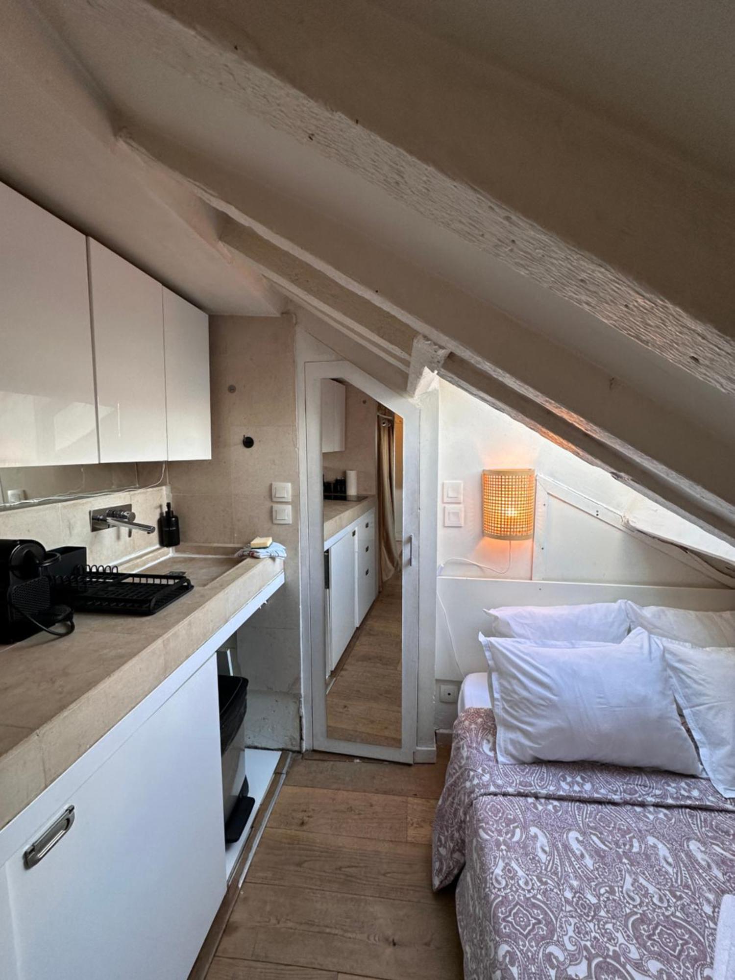 Marais Rooftop Studio - Metro Filles Du Calvaire Lägenhet Paris Exteriör bild